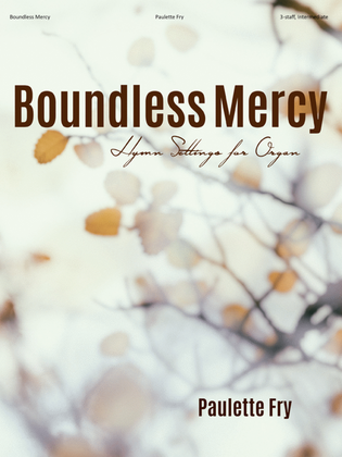 Book cover for Boundless Mercy