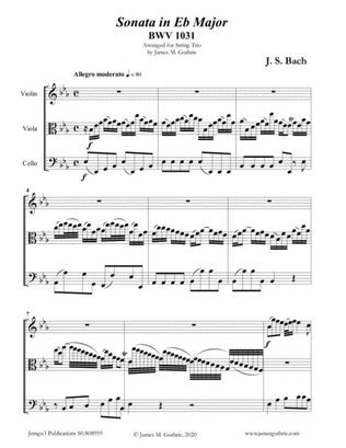 Book cover for BACH: Sonata BWV 1031 for String Trio