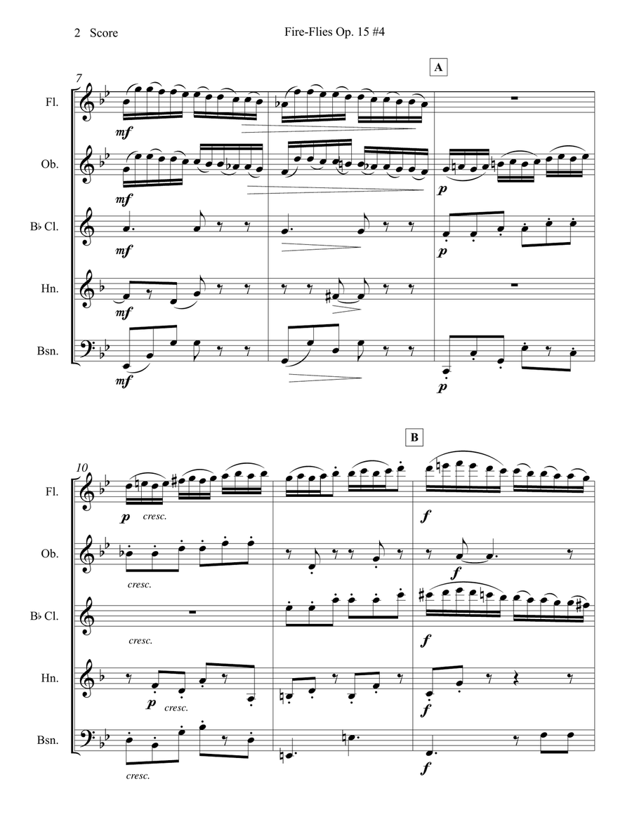 Fire Flies - Amy Beach - set for Woodwind Quintet Woodwind Quintet scores gallery preview page 3
