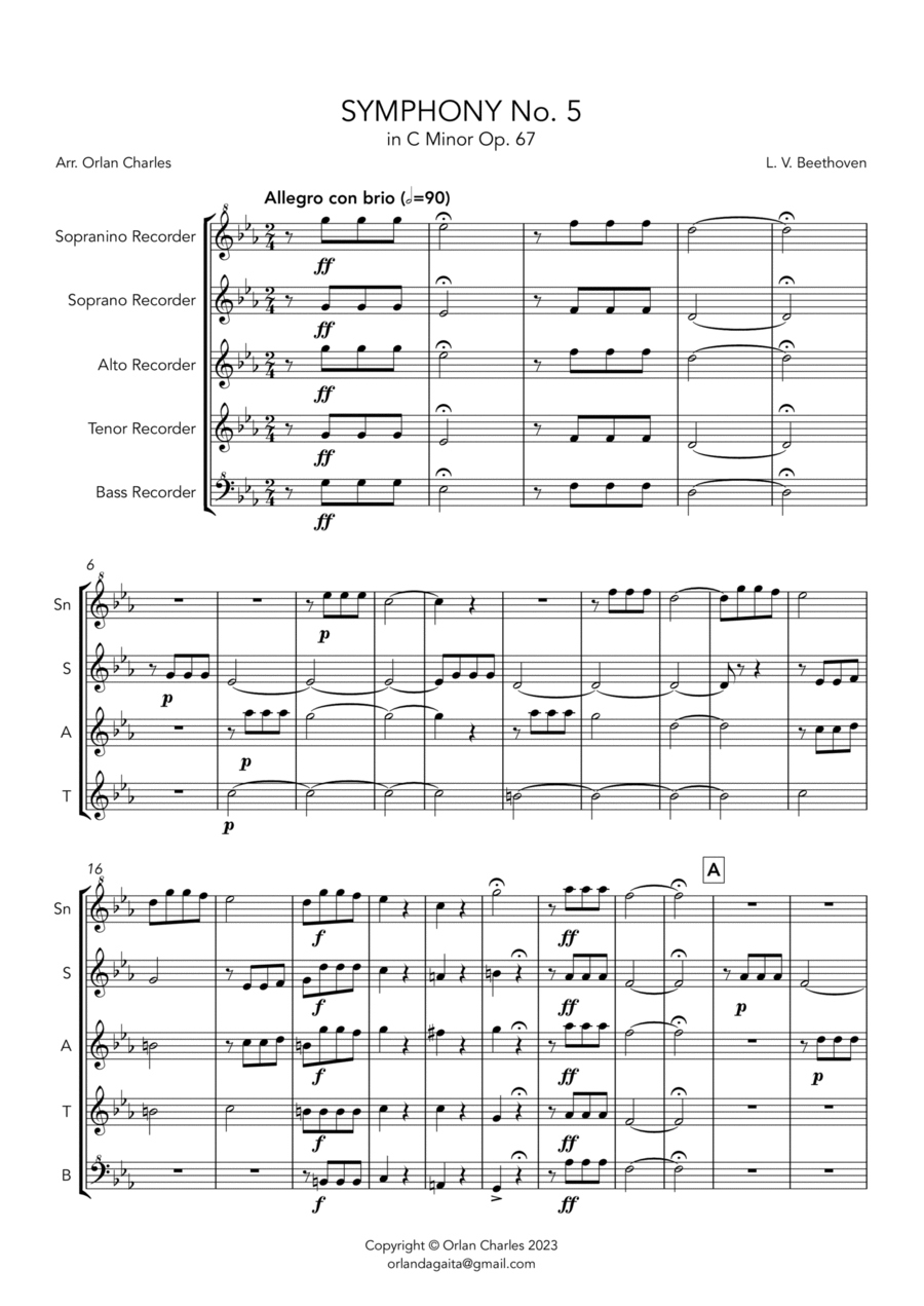 Symphony No. 5 in C Minor - Op. 67 - 1st Movement - Allegro com brio Chamber Music scores gallery preview page 1