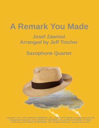 Book cover for A Remark You Made