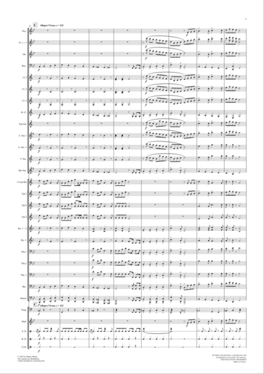 Hommage aux poilus Concert Band scores gallery preview page 6