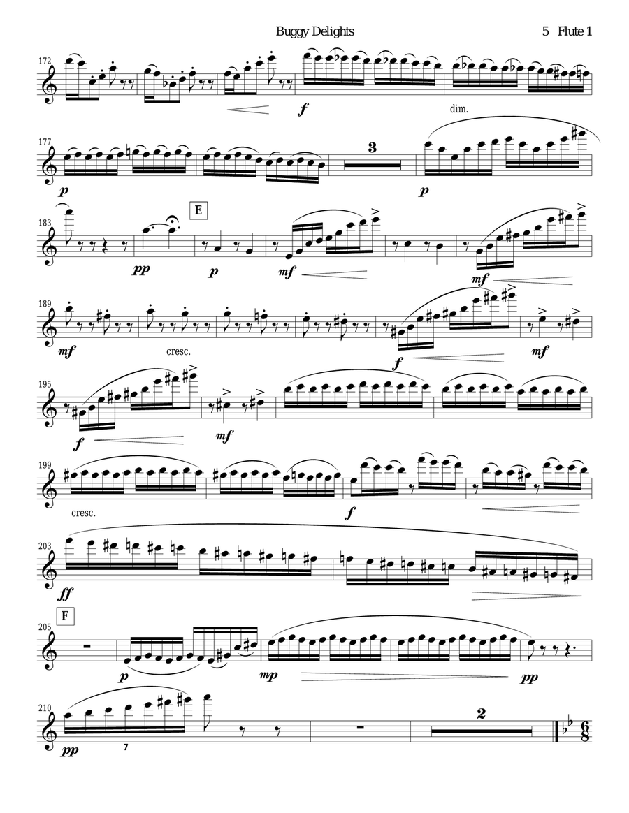 Buggy Delights, Insect Music for Flute Quartet PARTS ONLY Flute Quartet scores gallery preview page 5