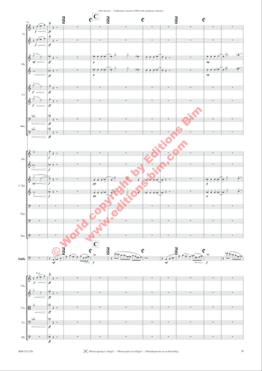 Euphonium Concerto Full Orchestra scores gallery preview page 13
