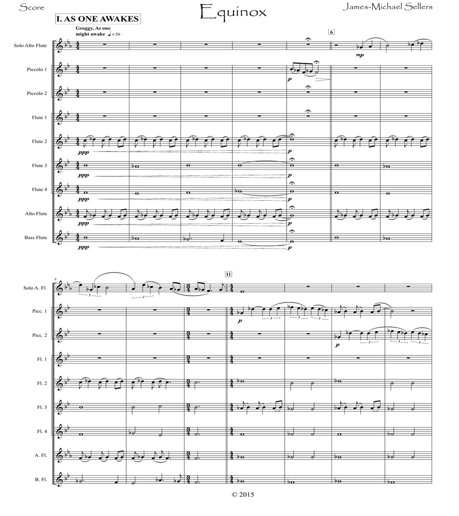 Equinox (for Solo Alto Flute and Flute Choir)