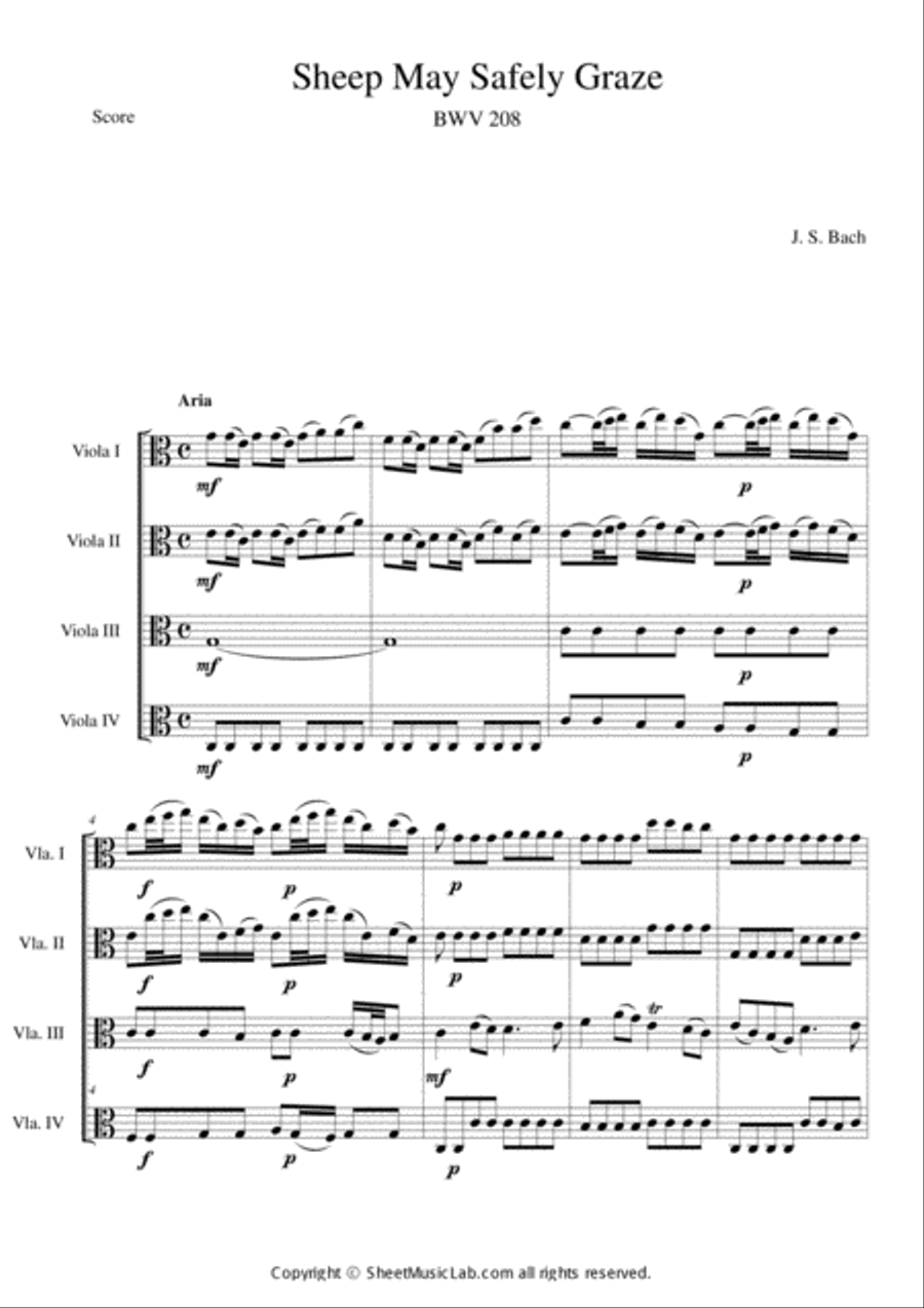 Sheep May Safely Graze BWV 208 by Johann Sebastian Bach Viola Digital Sheet Music Sheet Music Plus