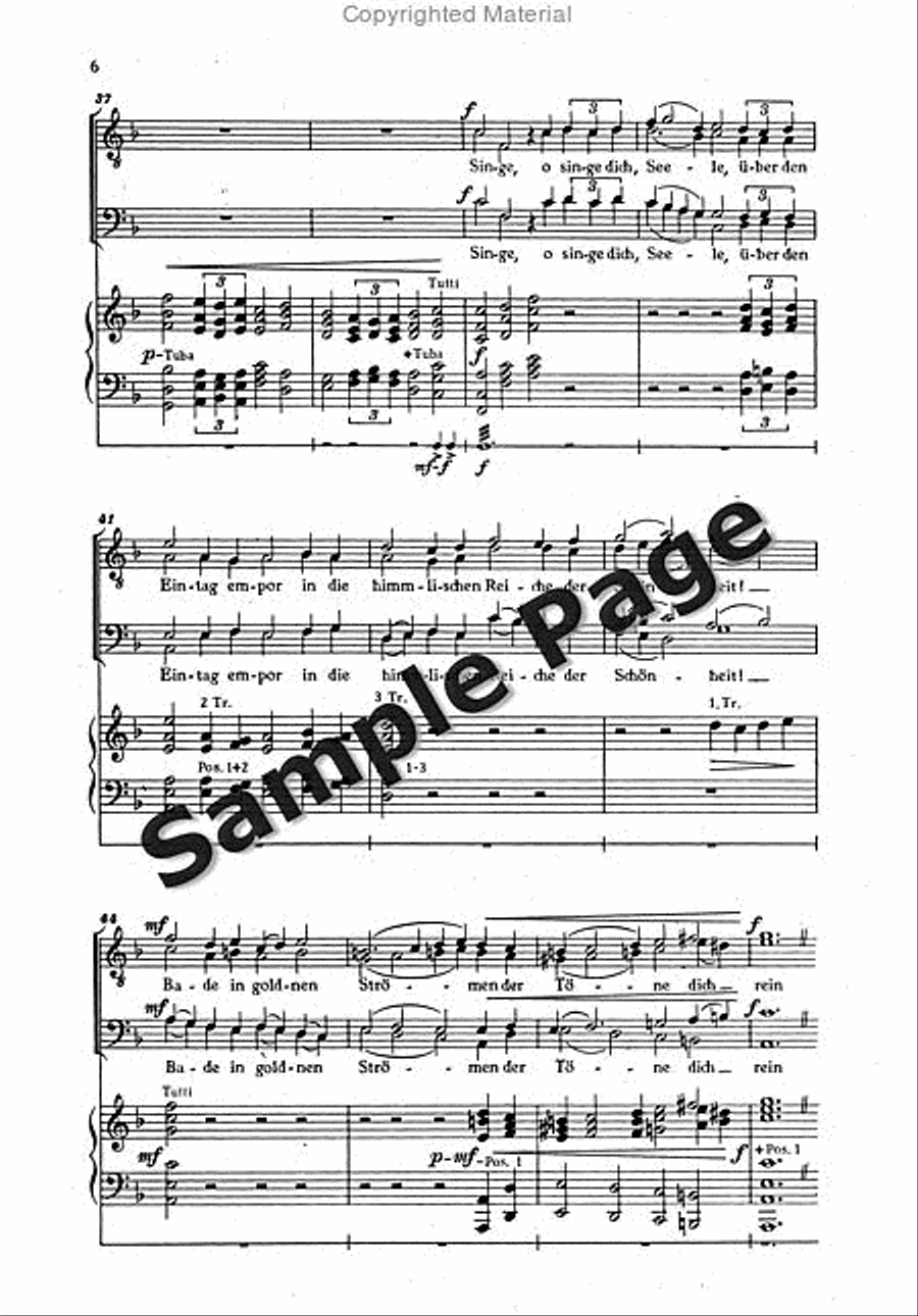 Wittmer El Festliche Hymne Men's Choir scores gallery preview page 6
