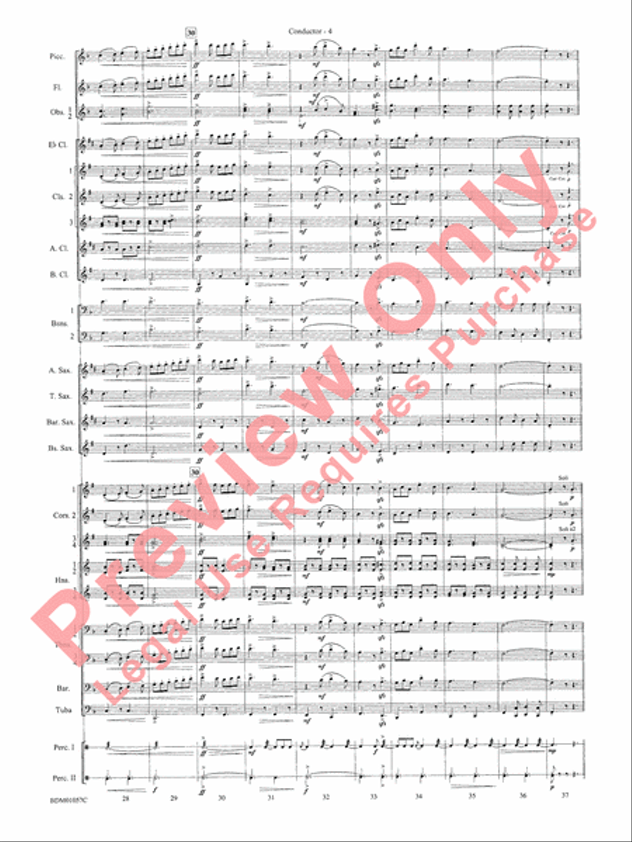 Black Horse Troop - Cb Concert Band scores gallery preview page 6