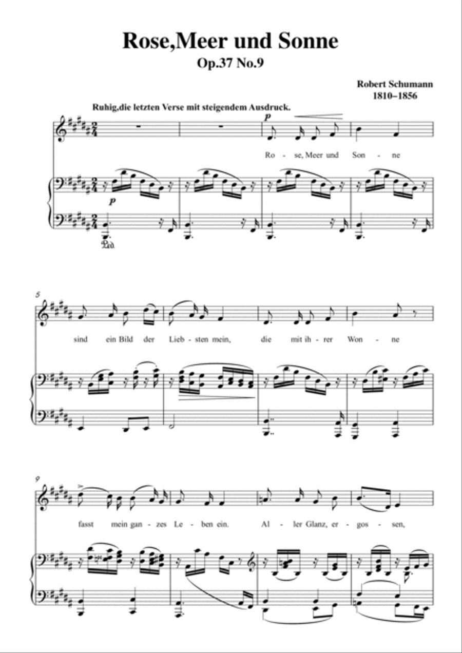 Schumann-Rose,Meer und Sonne in B Major for Voice and Piano Voice Solo scores gallery preview page 2