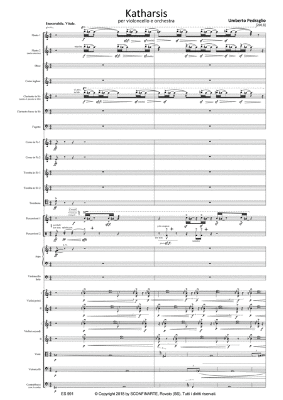 Umberto Pedraglio: KATHARSIS (ES 991) per Violoncello e Orchestra Large Ensemble scores gallery preview page 5