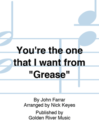 Book cover for You're the one that I want from "Grease"