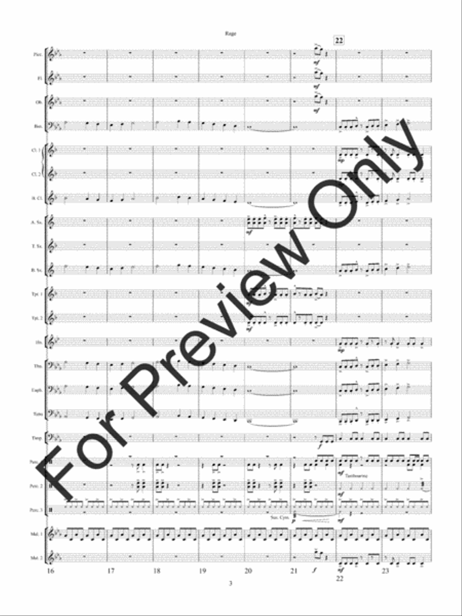 Rage Rage Concert Band scores gallery preview page 6