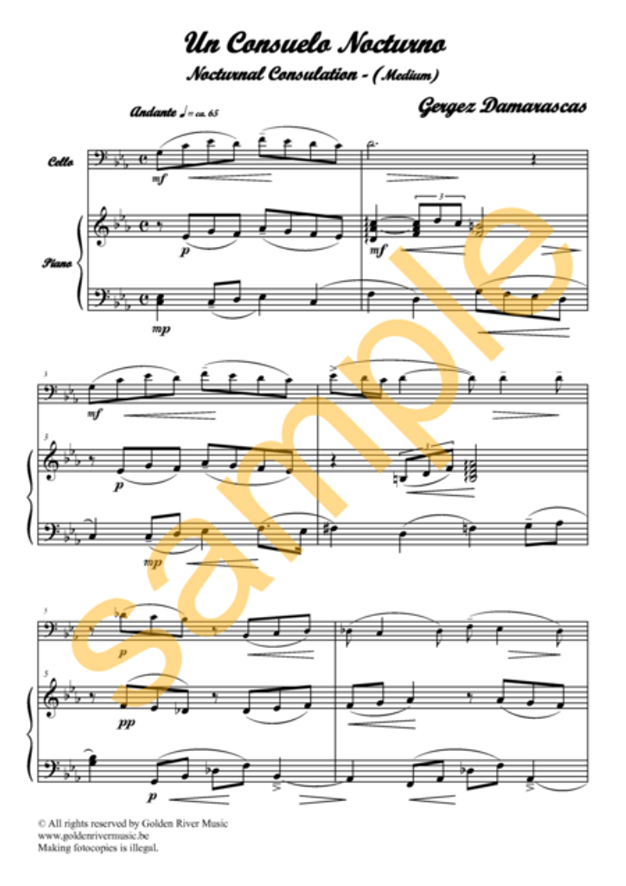 Un consuelo nocturno / Nocturnal consulation for cello Clarinet Solo scores gallery preview page 2