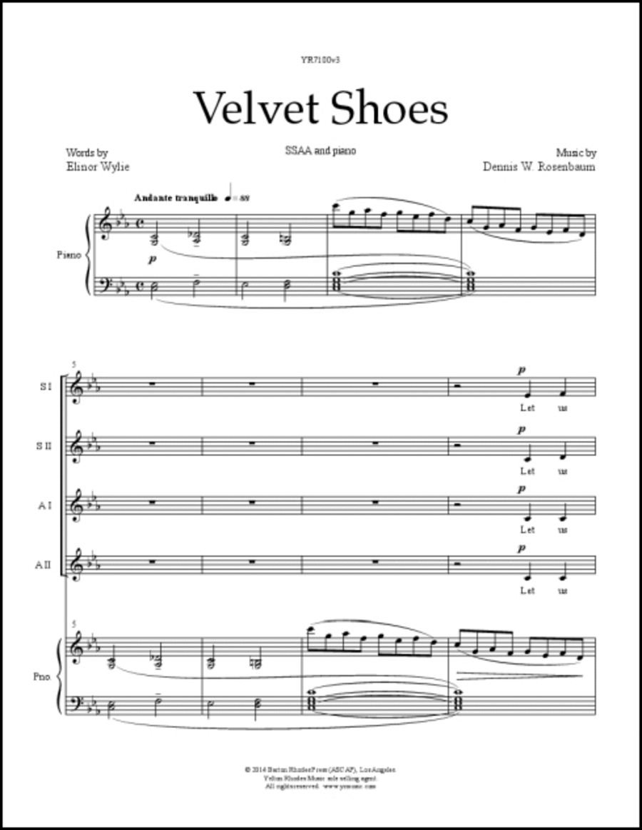 Velvet Shoes