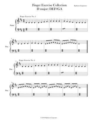 Finger Exercise Collection (24 exercises in D major)