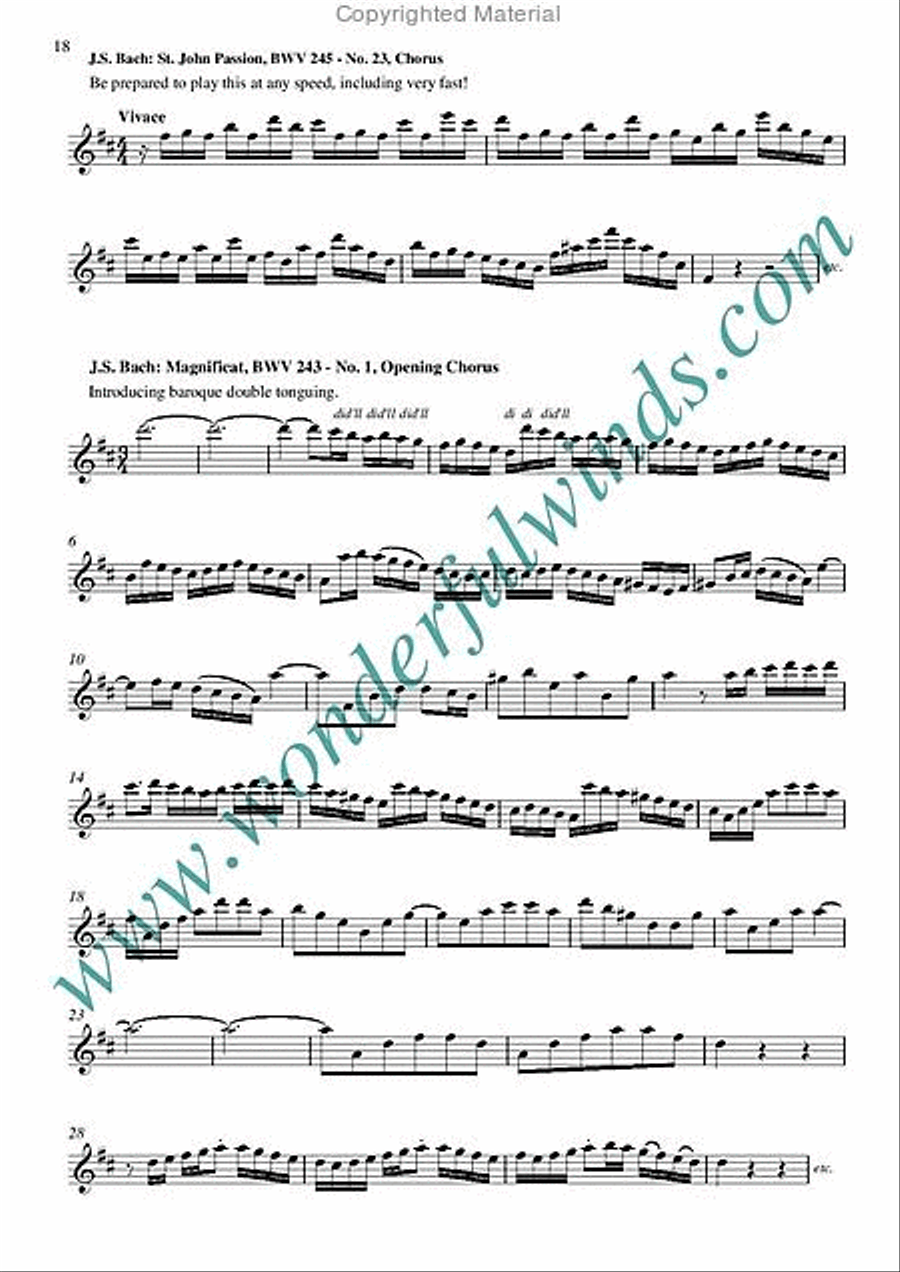 Baroque shop flute music