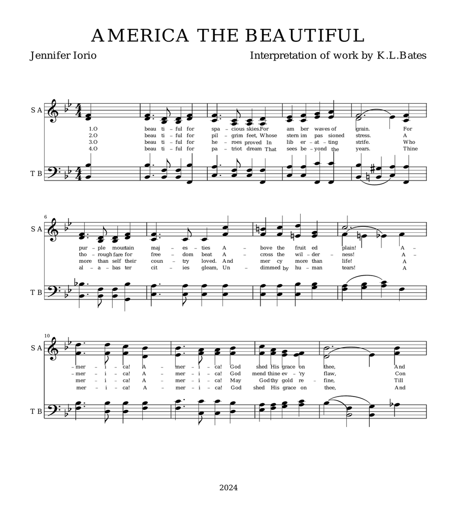 Book cover for AMERICA THE BEAUTIFUL