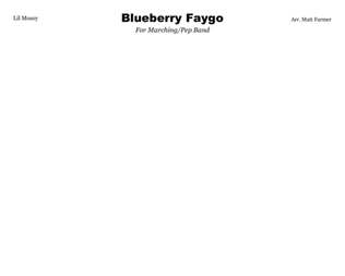 Book cover for Blueberry Faygo