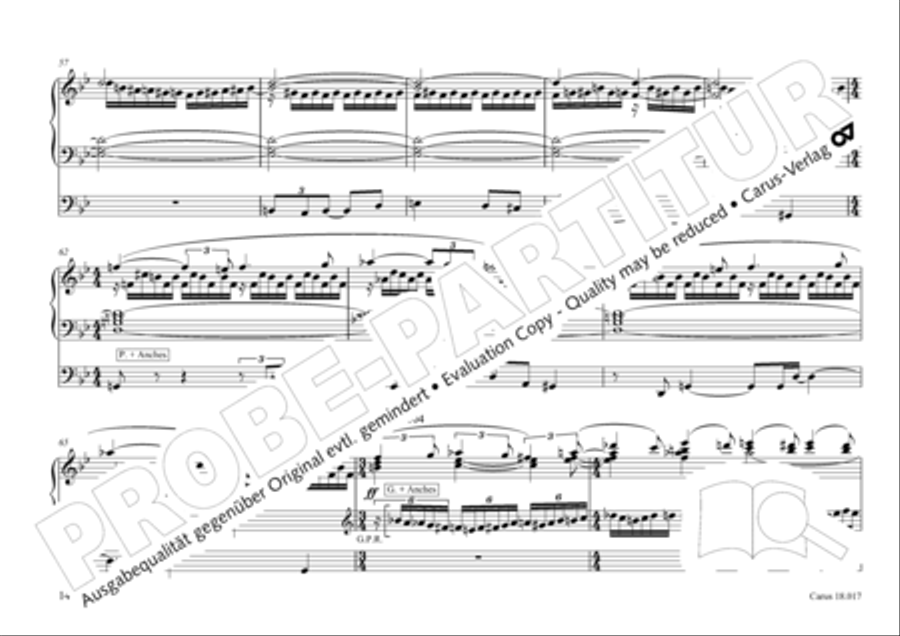 Tournemire: Funf Improvisationen fur Orgel solo Organ Solo scores gallery preview page 14