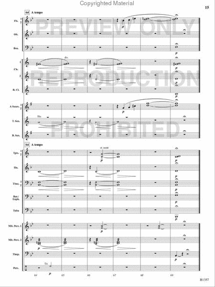 Rain Rain Concert Band scores gallery preview page 14