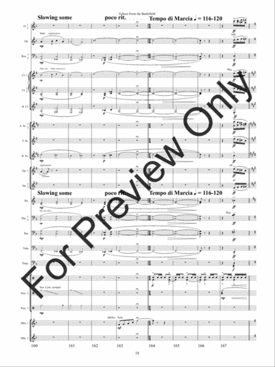 Echoes from the Battlefield (Score) Concert Band scores gallery preview page 21