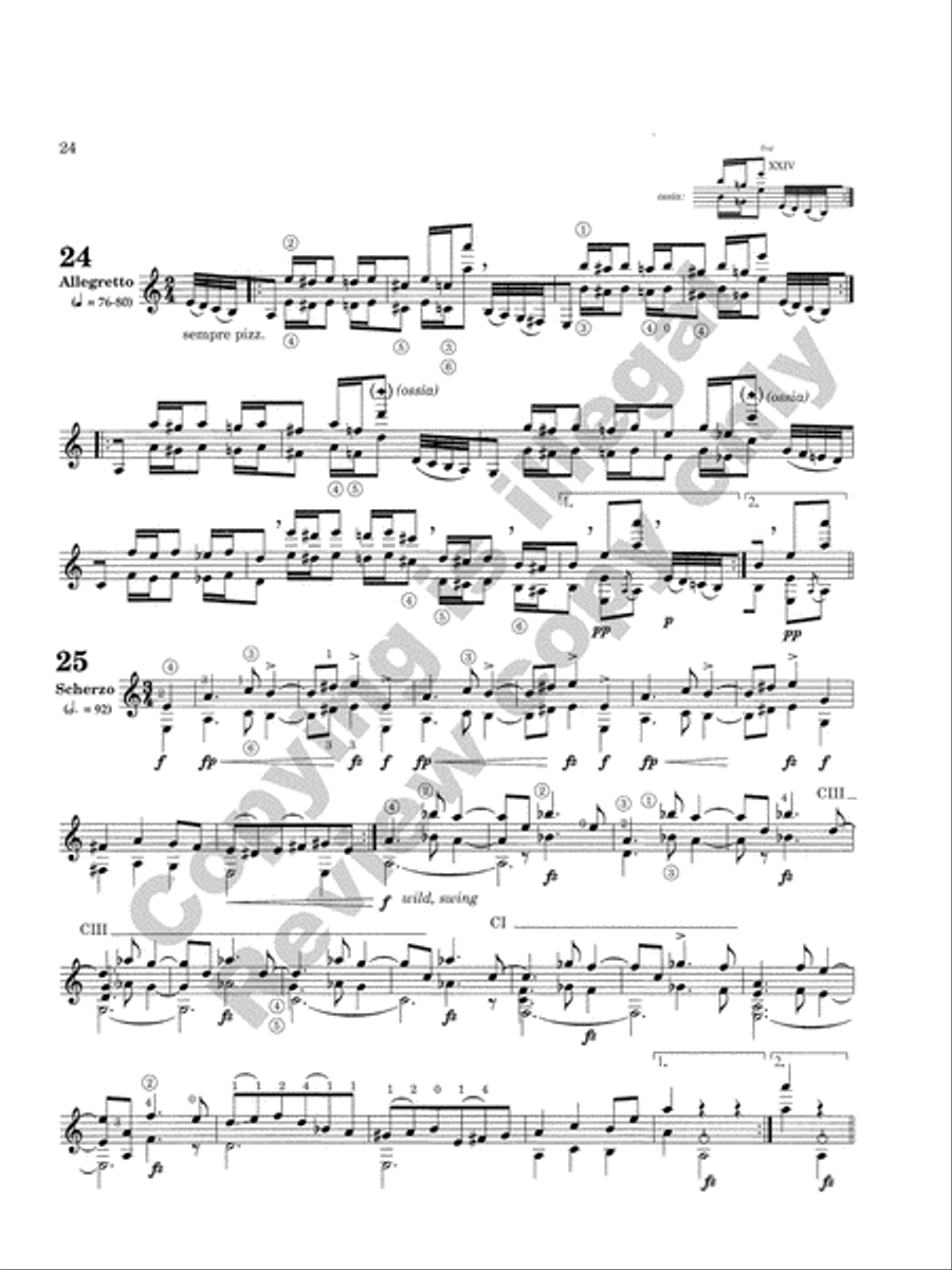 Caprice Variations Classical Guitar scores gallery preview page 22