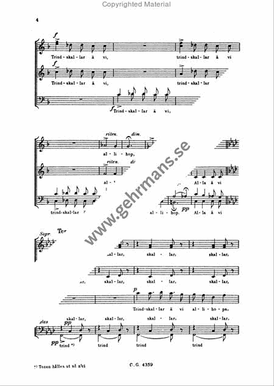 Trindskallarna Divisi scores gallery preview page 5