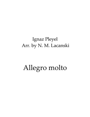 Book cover for Allegro molto