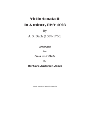 Violin Sonata II in A minor, BWV 1003 (Flute and Bass)