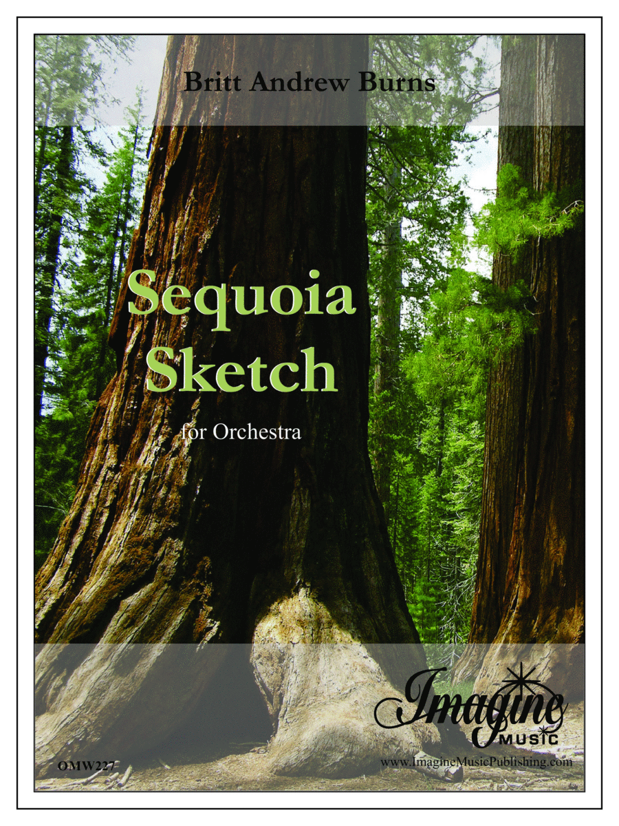 Book cover for Sequoia Sketch