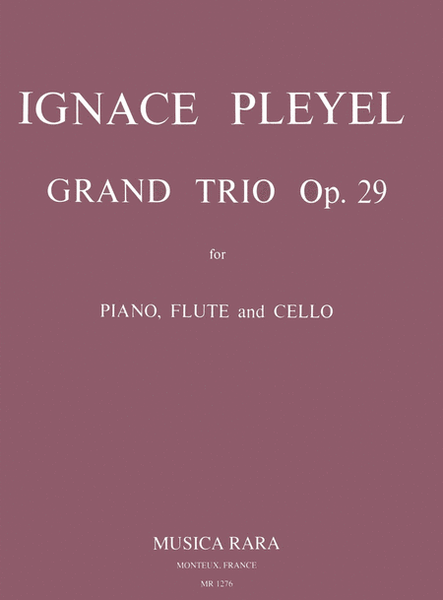 Grand Trio in D major Op. 29 B 461