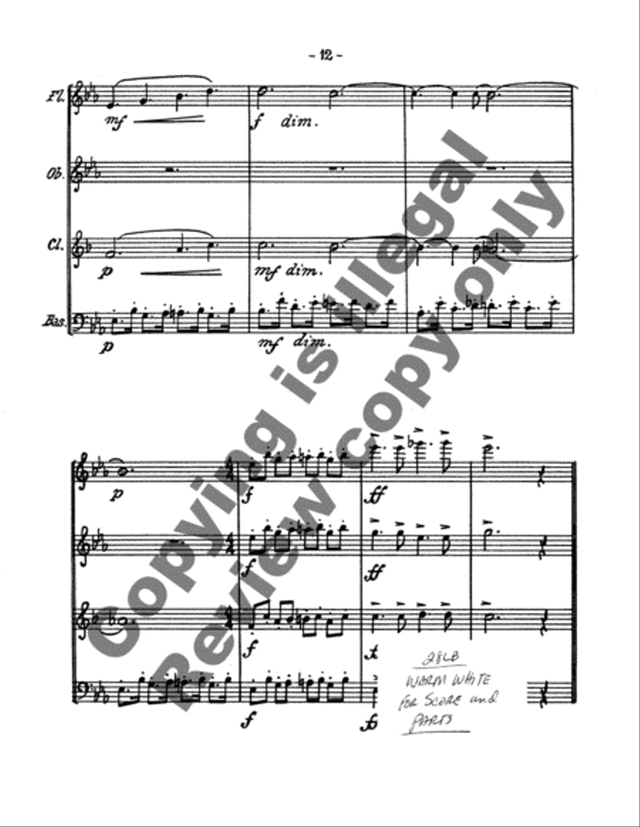 Bass with the Delicate Air Bassoon scores gallery preview page 14