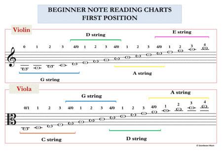 Note Reading For Strings: Note Reading, Rhythmic Values and Music Theory Charts