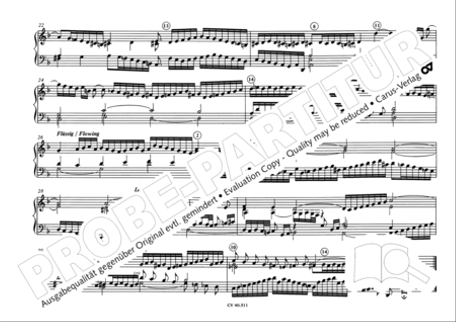 Orgelwerke des 16.-18. Jahrhunderts Piano scores gallery preview page 21