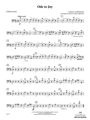 Ode to Joy: String Bass