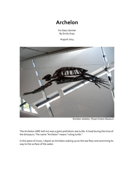 Archelon image number null