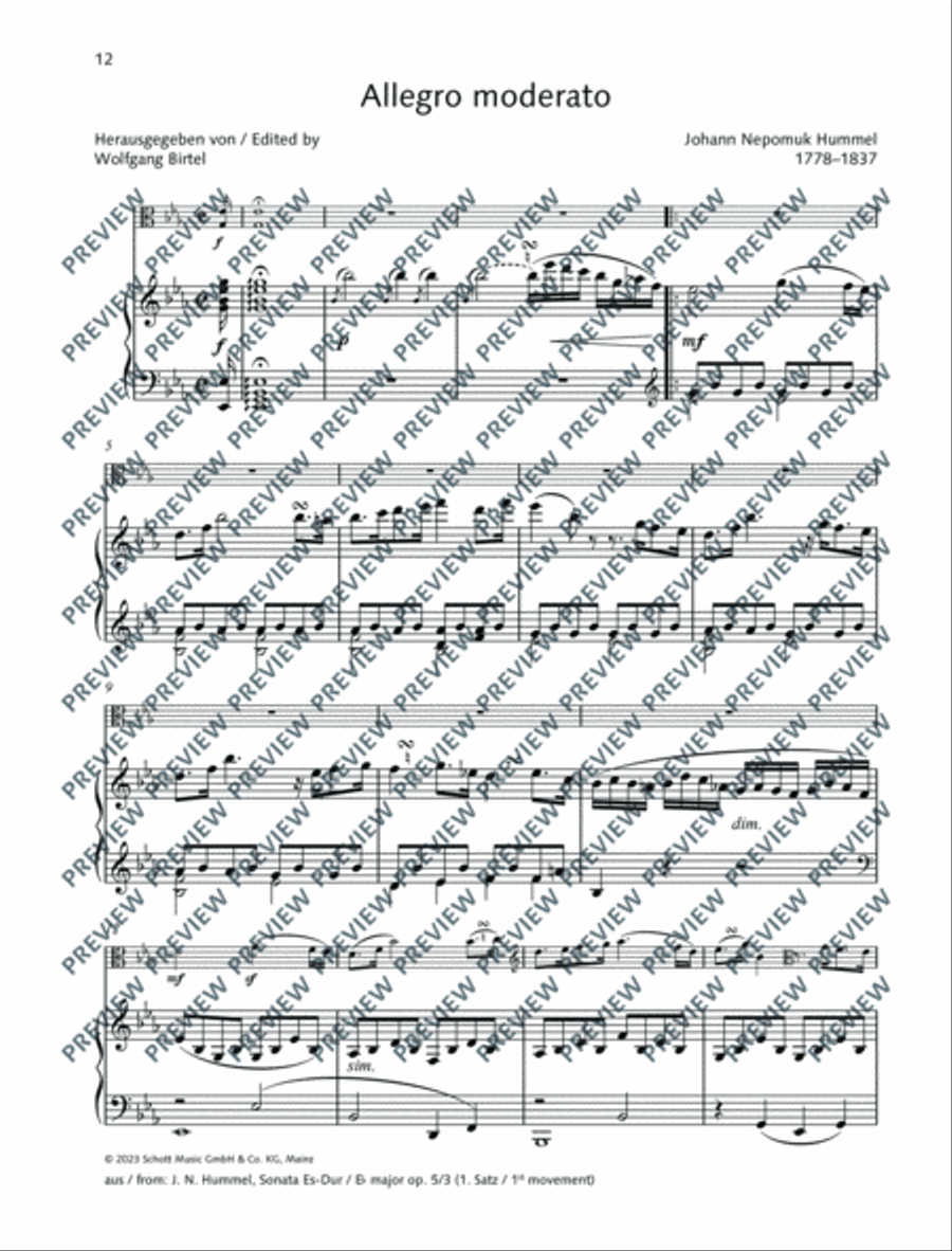 Best of Viola Classics Piano Accompaniment scores gallery preview page 13