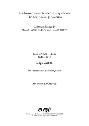 Book cover for Ligaduras