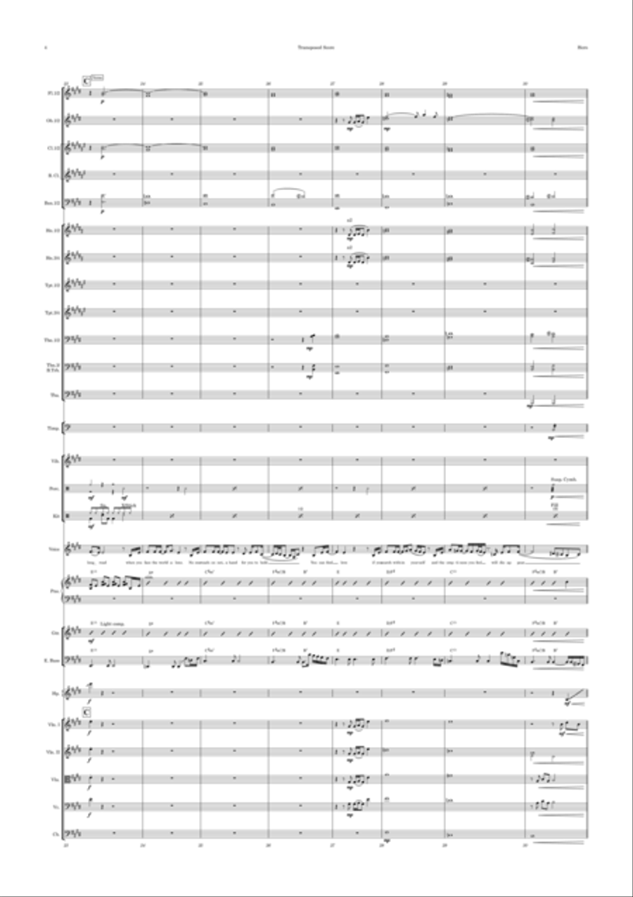 Hero Full Orchestra scores gallery preview page 4