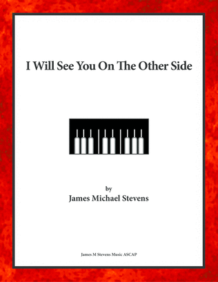 Book cover for I Will See You On The Other Side