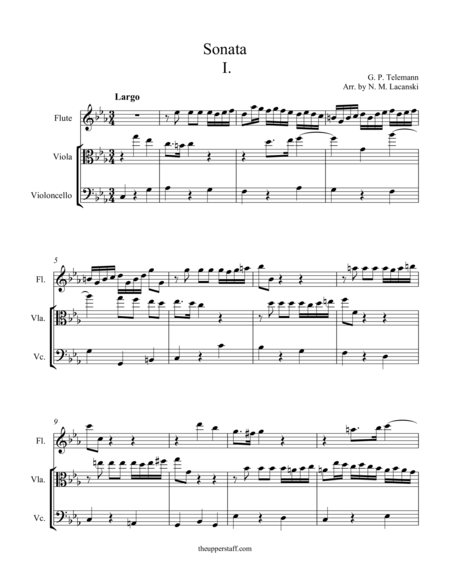 Sonata in C Minor Movement I image number null