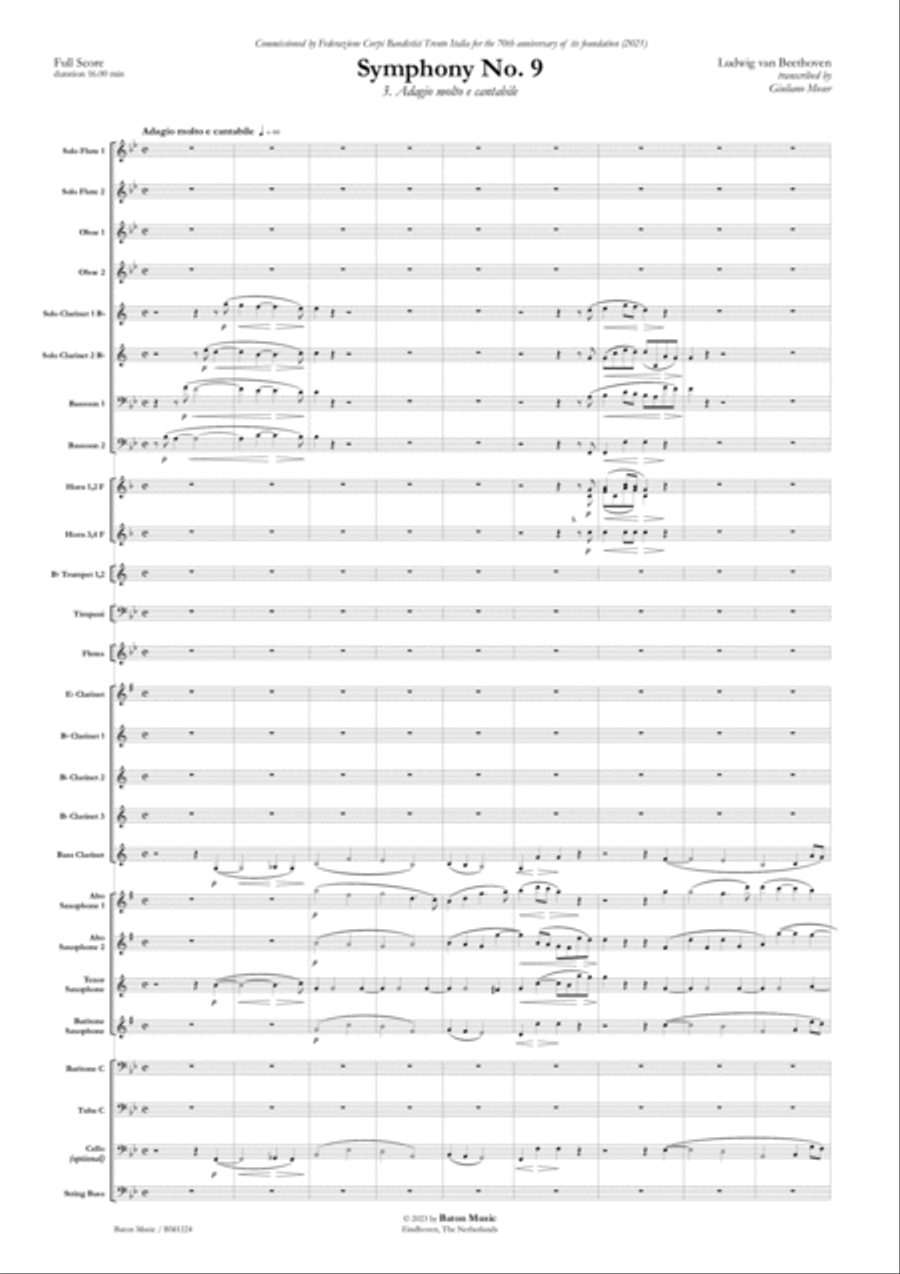 Symphony No. 9 D minor Concert Band scores gallery preview page 2