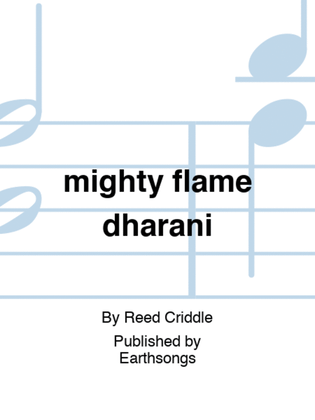 Book cover for mighty flame dharani