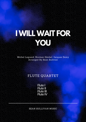 Book cover for I Will Wait For You