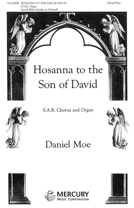 Book cover for Hosanna To The Son Of David`