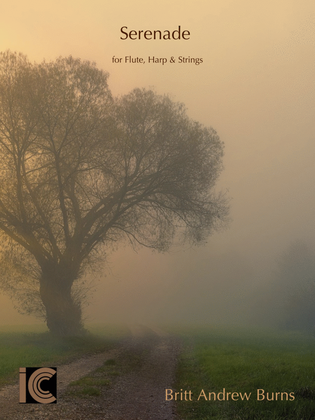 Book cover for Serenade for Flute, Harp & String Orchestra