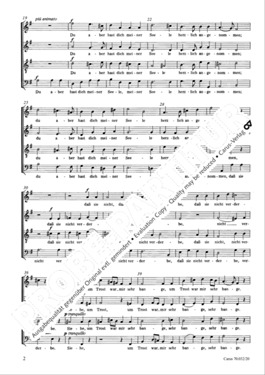 Siehe, um Trost war mir sehr bange 4-Part scores gallery preview page 3