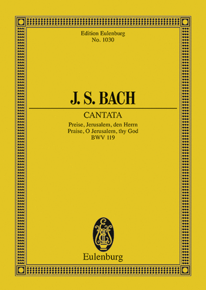 Book cover for Cantata No. 119