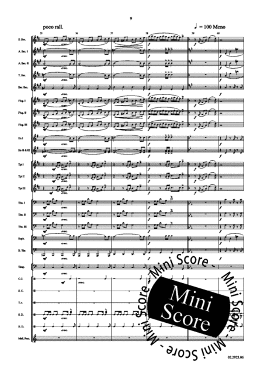 Mandragora Fanfare Band scores gallery preview page 13