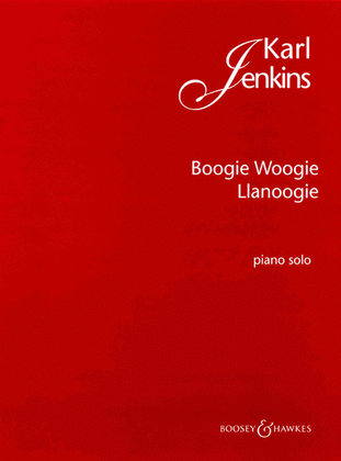 Book cover for Boogie Woogie Llanoogie
